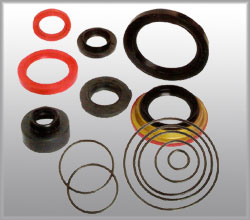 Oil Seals